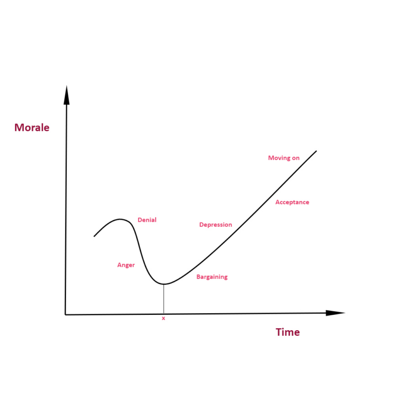 The Change Curve - Accipio